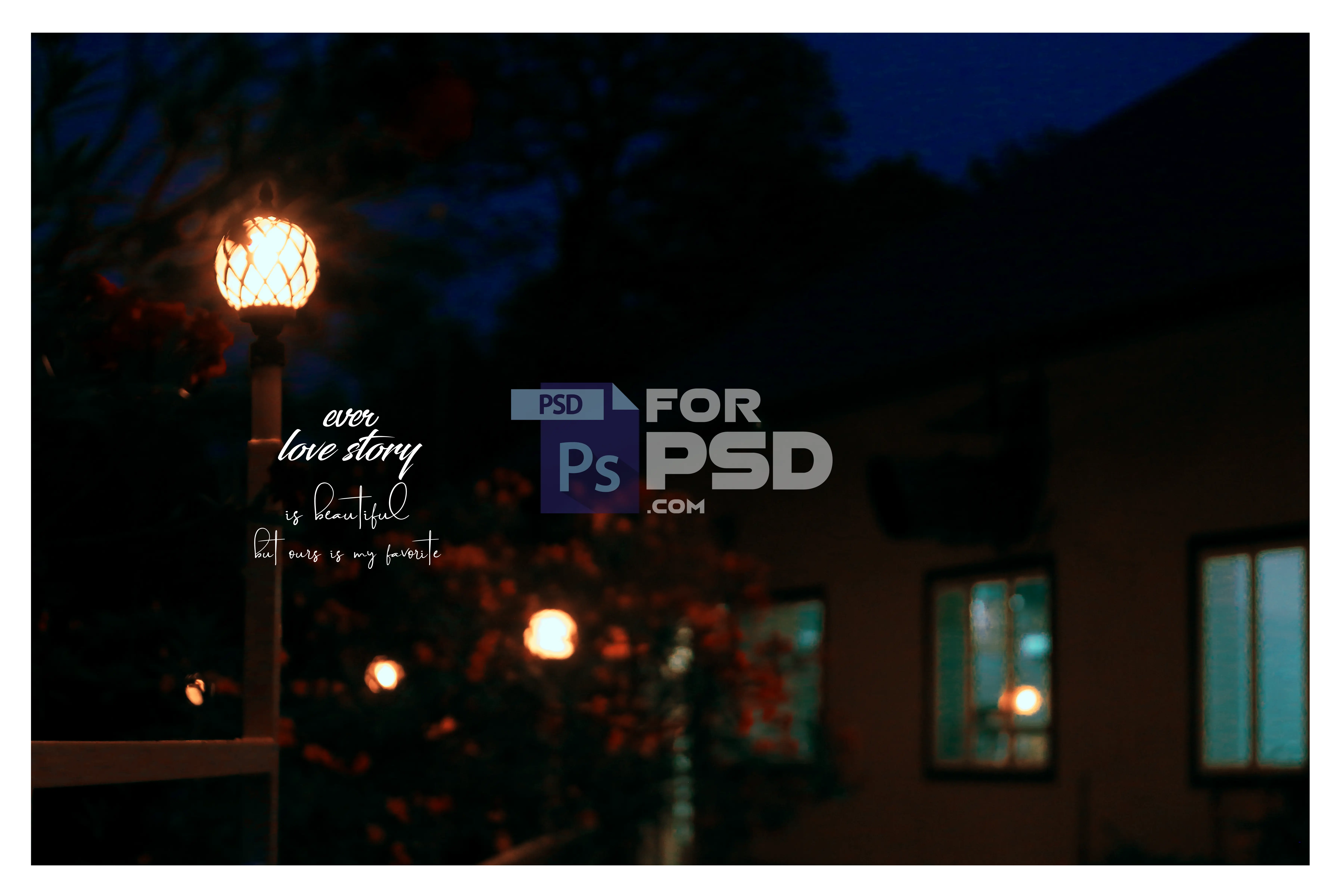 Image Preview